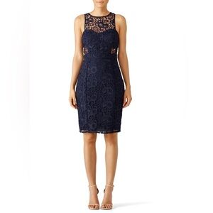NWT Likely Navy Lace Avenell Dress, Size 4